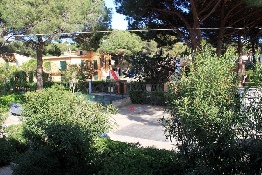 Il Gabbiano Piano Terra - Goelba Daire Marina di Campo Dış mekan fotoğraf